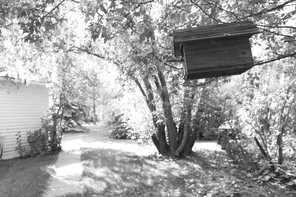 Sproule Heritage Bed & Breakfast Strathmore Exterior foto