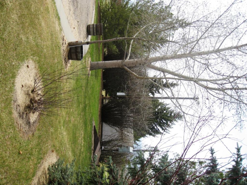 Sproule Heritage Bed & Breakfast Strathmore Exterior foto